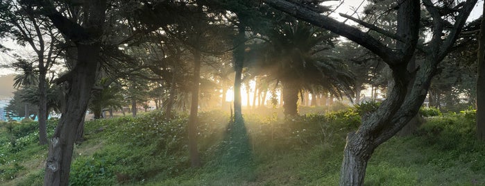 Sutro Heights Park is one of You gots to chill A little in #sf.