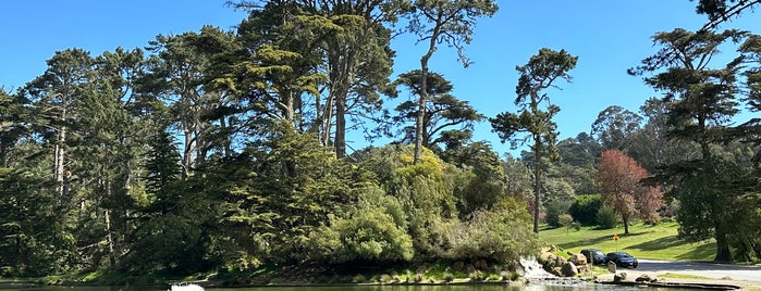 Lloyd Lake is one of SF Lakes.