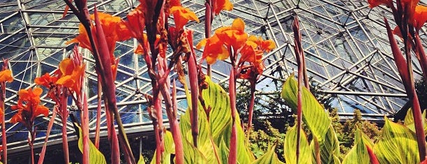 The Climatron is one of St. Louis Outdoor Places & Spaces.