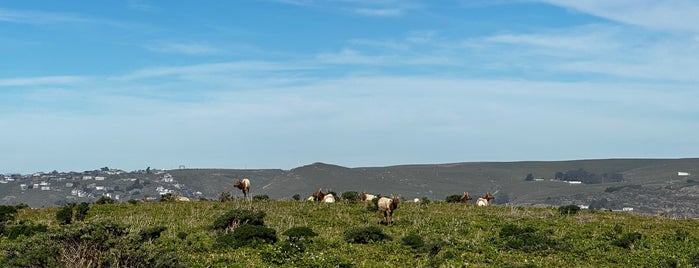 The Tip Of Tomales Point is one of RV vacation.