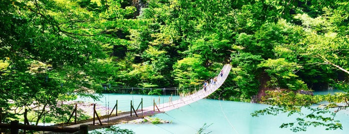 夢の吊橋 is one of アウトドアスポット.
