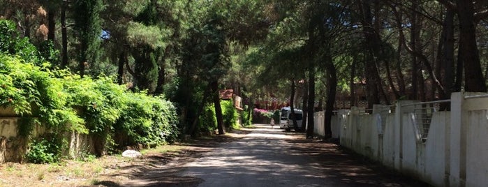 Jeans Club Kaplan hotel is one of Erdem'in Beğendiği Mekanlar.