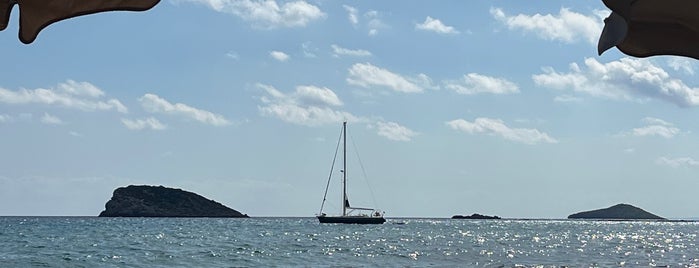 Cala Nova is one of Spiaggia.