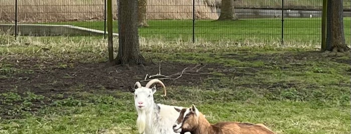 Kinderboerderij De Uylenburg is one of Amsterdam.