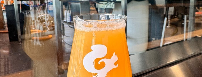 Mighty Squirrel Brewery + Taproom is one of Breweries.