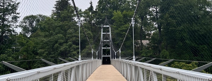 Suspension Bridge is one of LUGARES QUE VISITEI SEM MOBILE.
