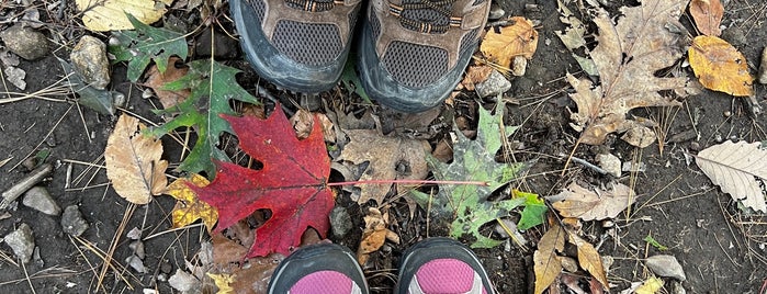 Hook Mountain state park is one of Hiking.