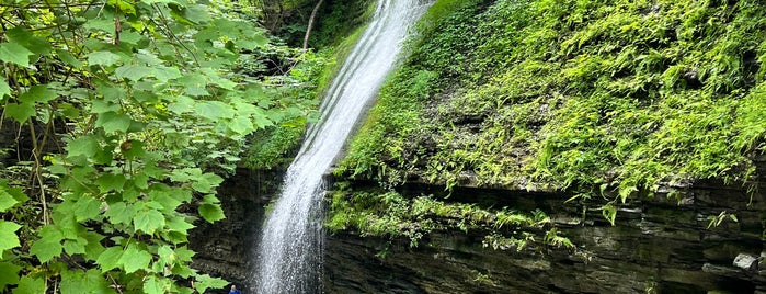 Rainbow Falls is one of Finger Lakes Trip.