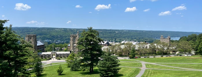 Libe Slope is one of At Cornell.