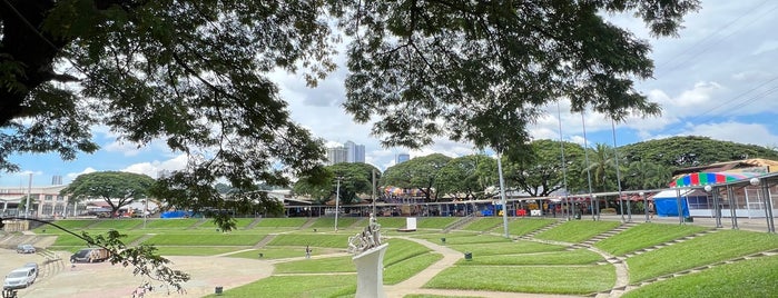 Marikina Riverbanks Center is one of a.