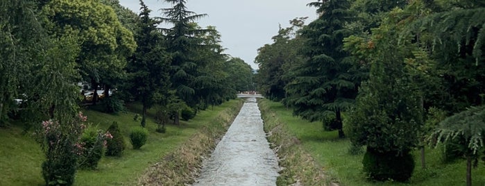 Parku Rinia is one of Tempat yang Disukai Evrim.