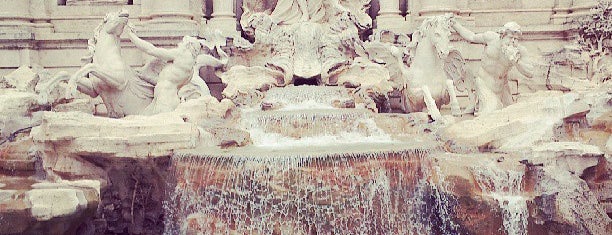 Fontana di Trevi is one of Crowded Places in Italy.