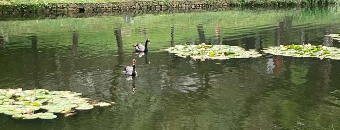 Yuexiu Park is one of Guangzhou.