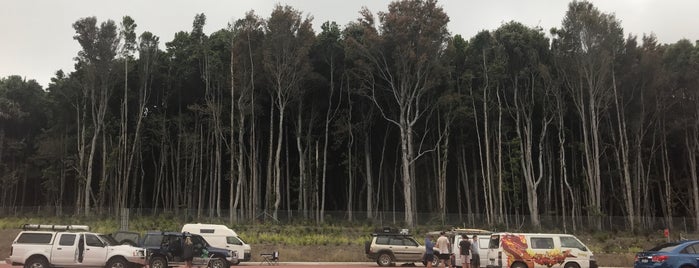 Mount Ousley Rest Area is one of Posti che sono piaciuti a Vlad.