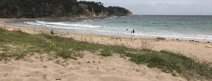McKenzie's Beach is one of South Coast Best Beaches.
