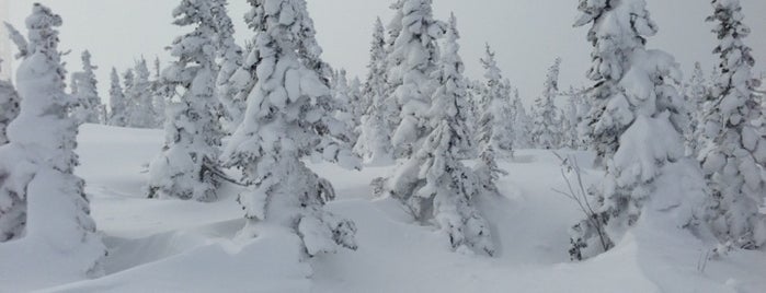 Верхняя Станция Панорама is one of Snow TOP places.