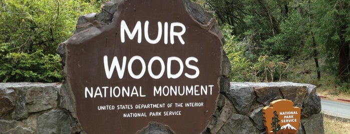 Muir Woods National Monument is one of SF Adventures.