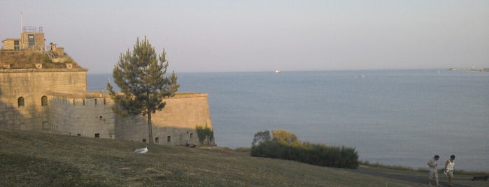 Nothe Gardens is one of Elliott’s Liked Places.