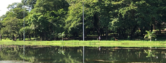 Parque Municipal Milton Prates is one of Pontos turísticos.