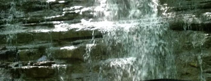 Bruce Trail -Canterbury Falls is one of Posti che sono piaciuti a Kyo.