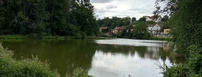 Dolní rybník is one of Unetice.