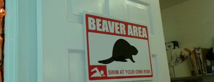 Beaver Tattoo is one of Lugares favoritos de L.