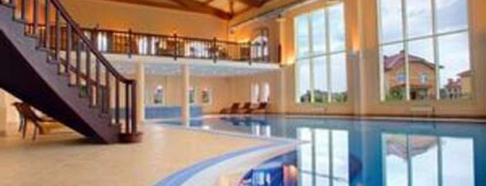 Grand Peterhof Spa Hotel is one of Xenieさんのお気に入りスポット.