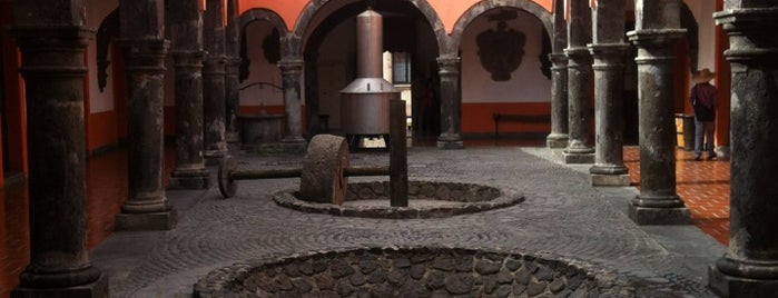 Museo Del Tequila is one of GUADALAJARA.