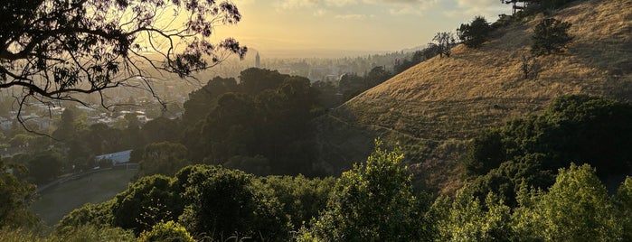 Claremont Canyon Regional Preserve is one of East Bay eat + play.