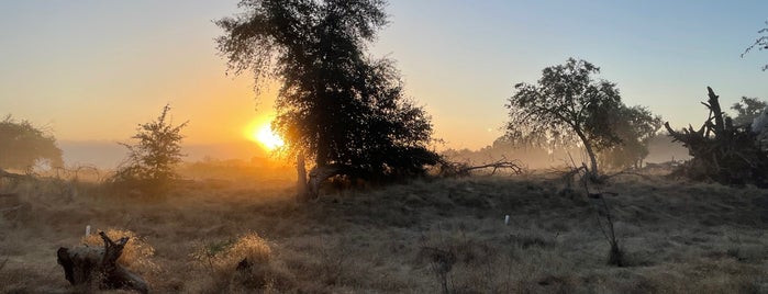 Kaweah Oaks Preserve is one of CenCal To Do/Redo.