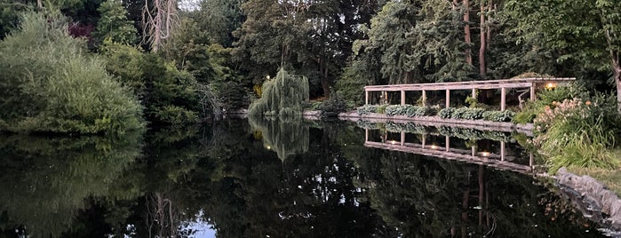 Beacon Hill Park is one of Sevgi's Saved Places.