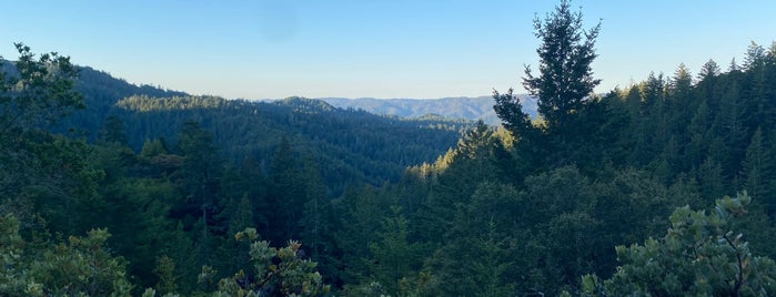 Skyline Ridge Open Space Preserve is one of Bay Area Exploration Ideas.