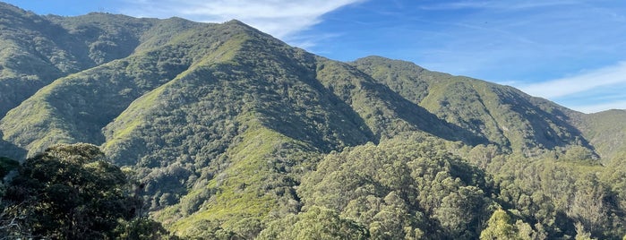 San Pedro Valley County Park is one of Best of Pacifica Hiking.