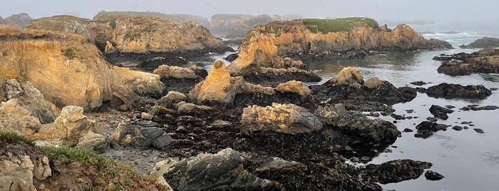 Noyo Headlands Park is one of Fort Bragg, CA.