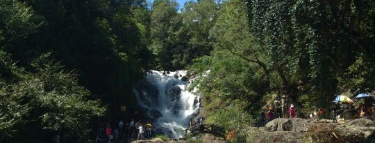 Thác Datanla (Datanla Waterfall) is one of Da Lat City Place I visited.
