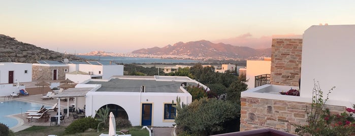 Naxos Palace Hotel is one of Naxos.