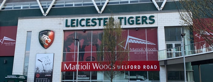 Leicester Tigers Cat Stand is one of Places To Go: Leicester.