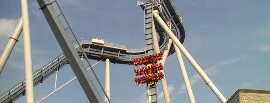 Griffon - Busch Gardens is one of Roller Coaster Mania.