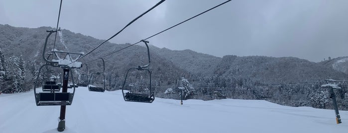 スターシュプール緑風リゾートひだ流葉 is one of スキーヤーが楽しめるスキー場.