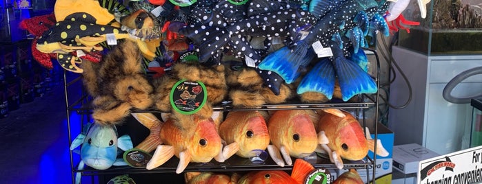 CK Fish World is one of Monrovia pet stores.