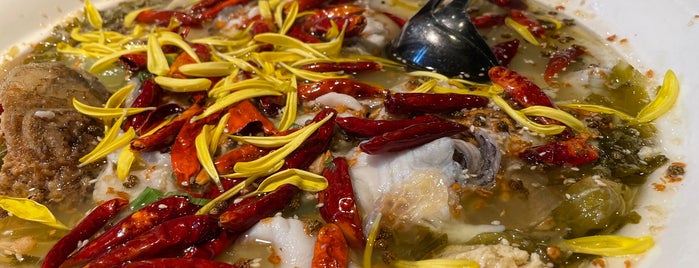 太二 chinese sauerkraut fish is one of To go to.