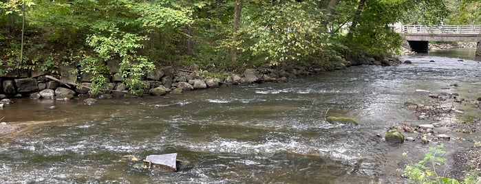 Geyser Creek is one of Saratoga.