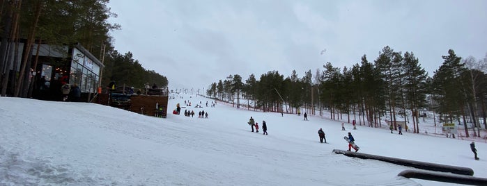 SC «Uktus» is one of Ski.