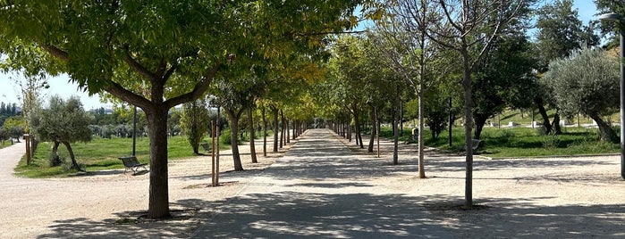 Parque Campo de las Naciones is one of Madrid.