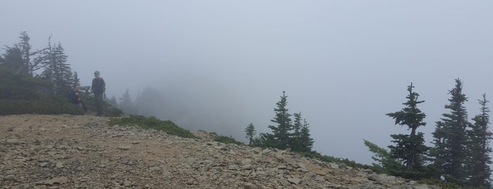 Tolmie Peak is one of Washington State (Southwest).