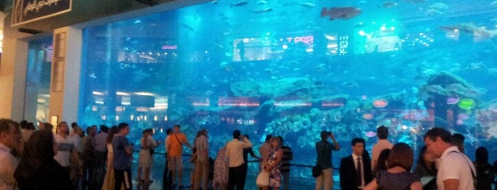Dubai Aquarium is one of Dubai.