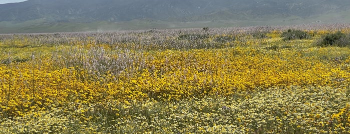 Carrizo Plain National Monument is one of Cali.