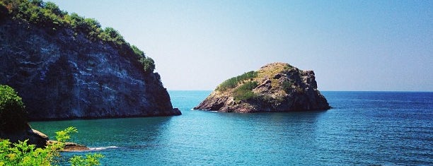 Hoynat Adası is one of Ordu.