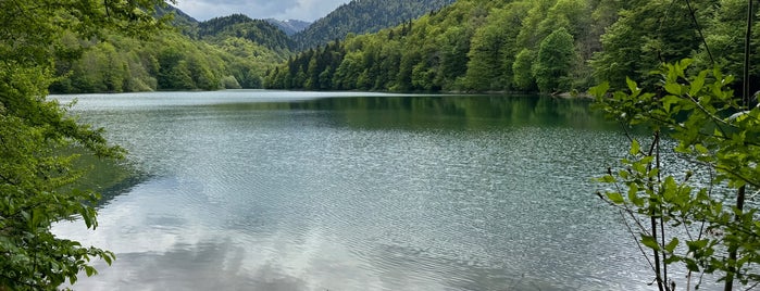 Biogradsko jezero is one of Ulcinj/Persat/Tivat/Budva, Montenegro (Karadağ).