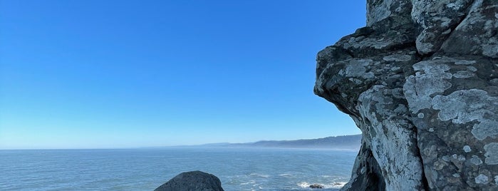 Patrick's Point State Park is one of PCH.